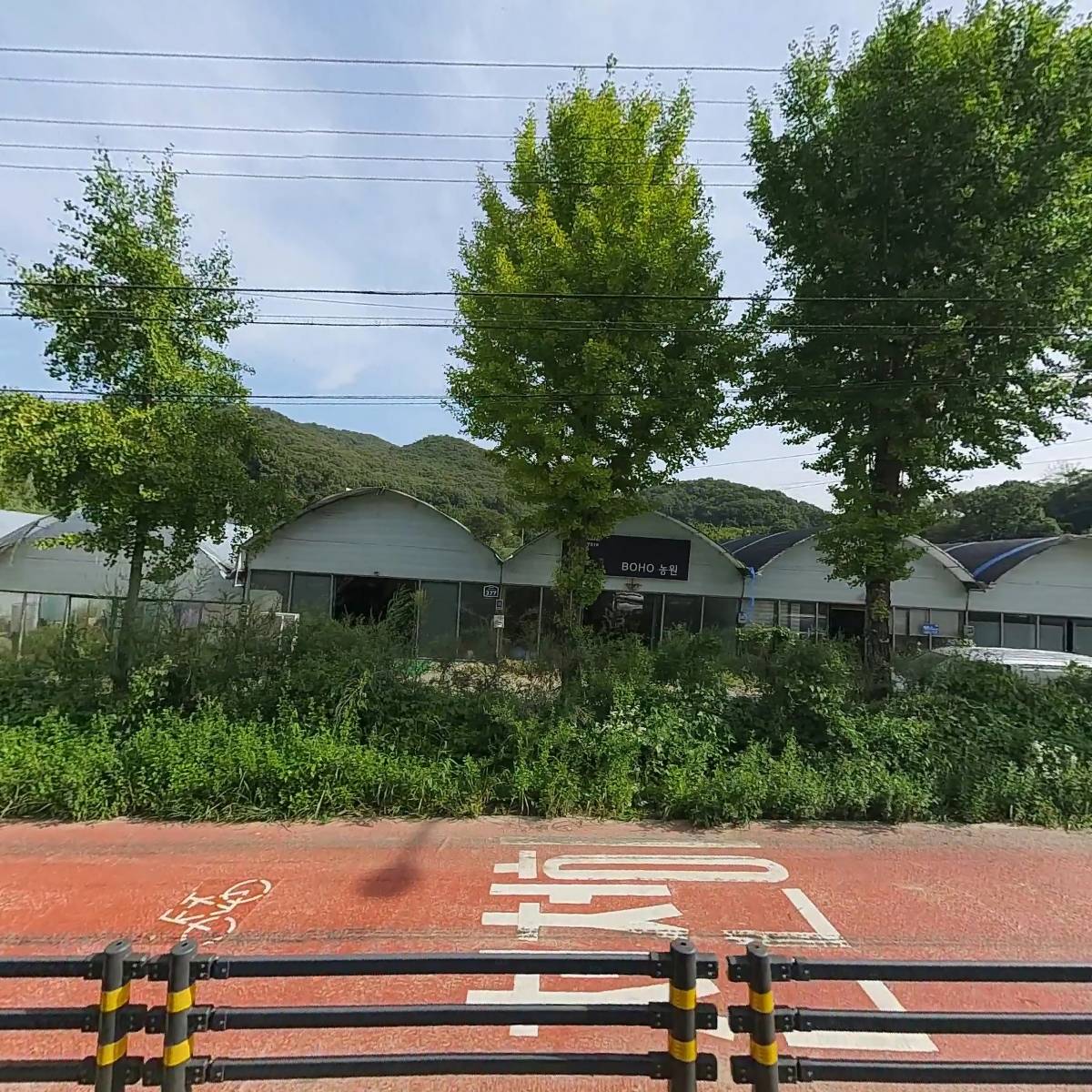 강남꽃직매장