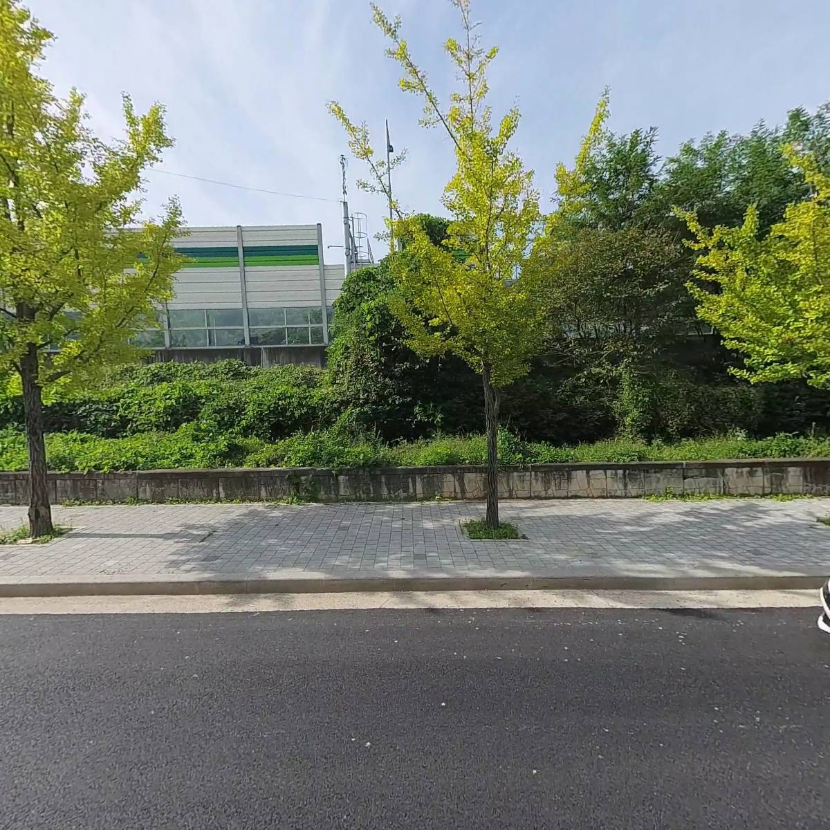 강남꽃직매장_3