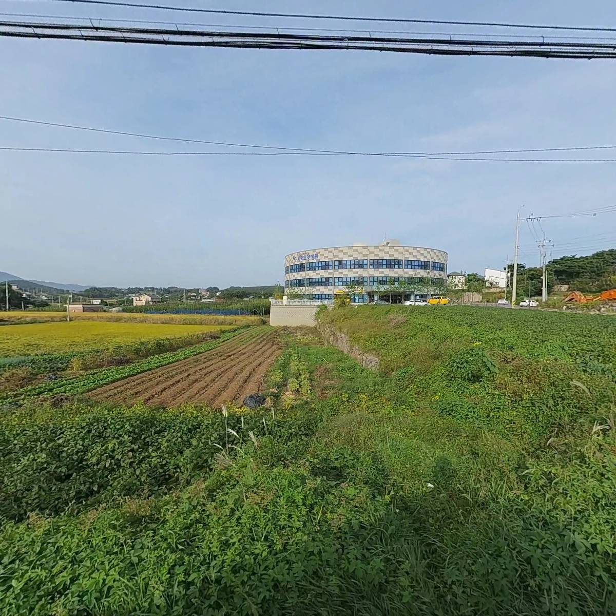 농업회사법인은행나무(주)