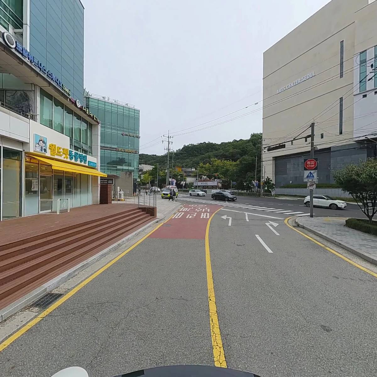 이에스테시_2