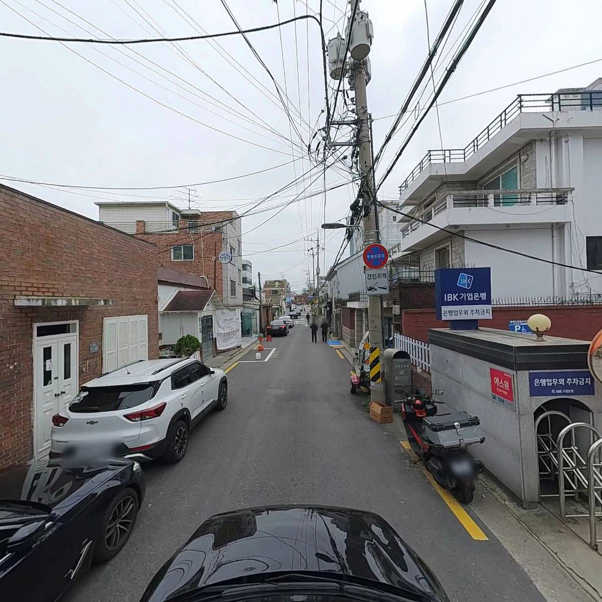 해강_4