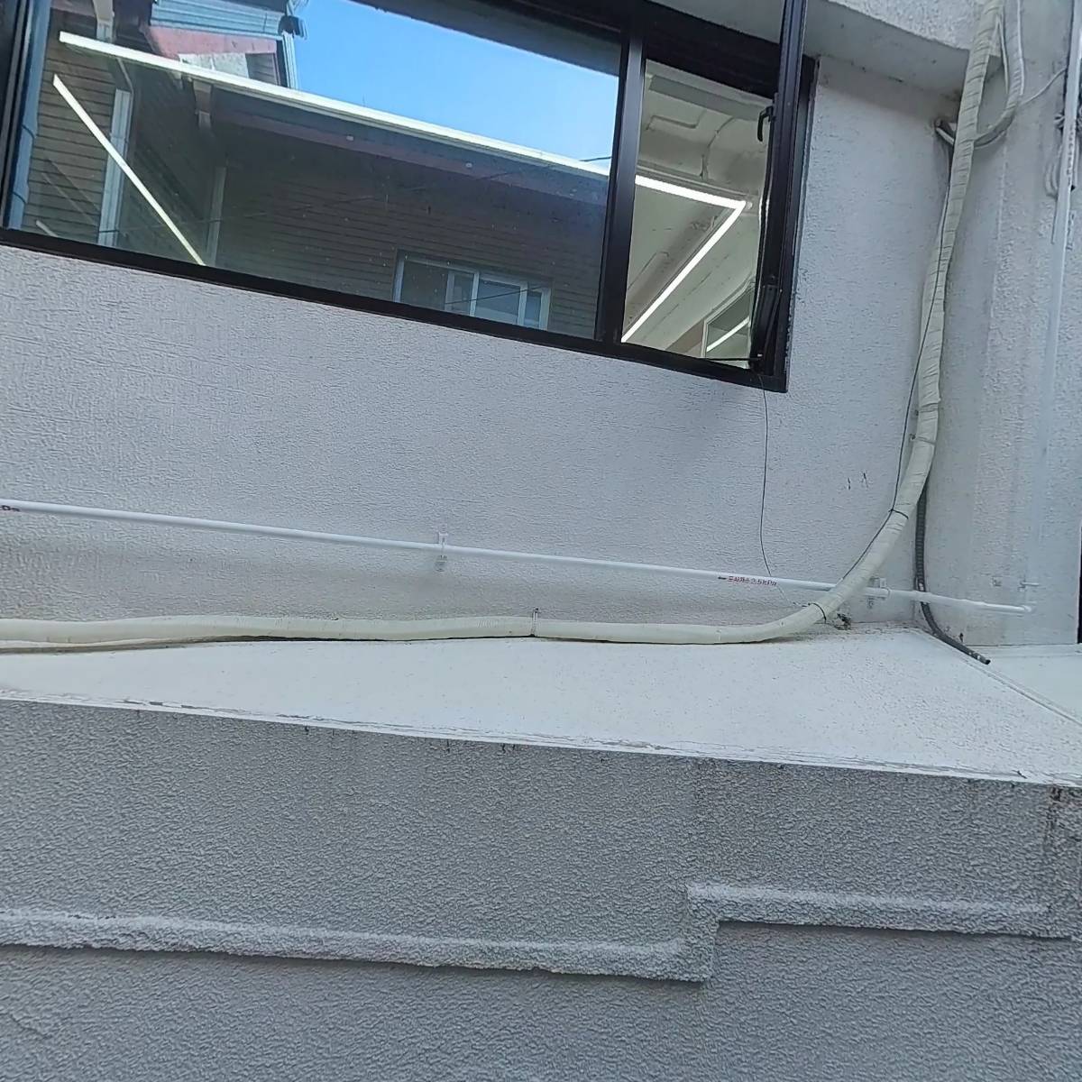 이이네