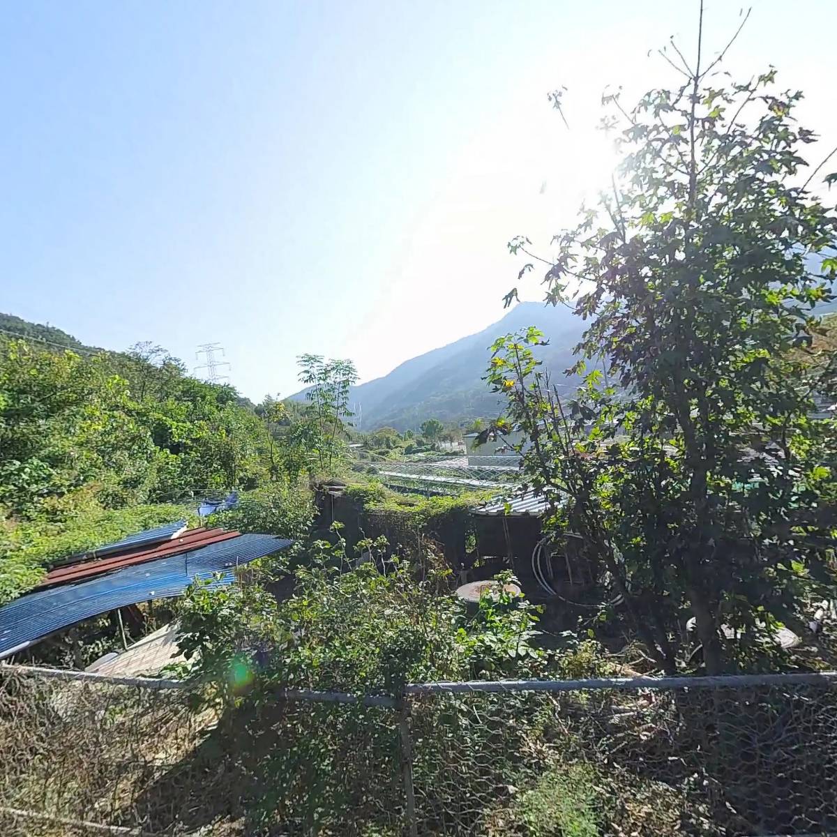 주식회사 상록수