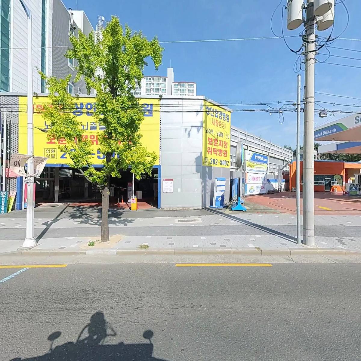 라이블리