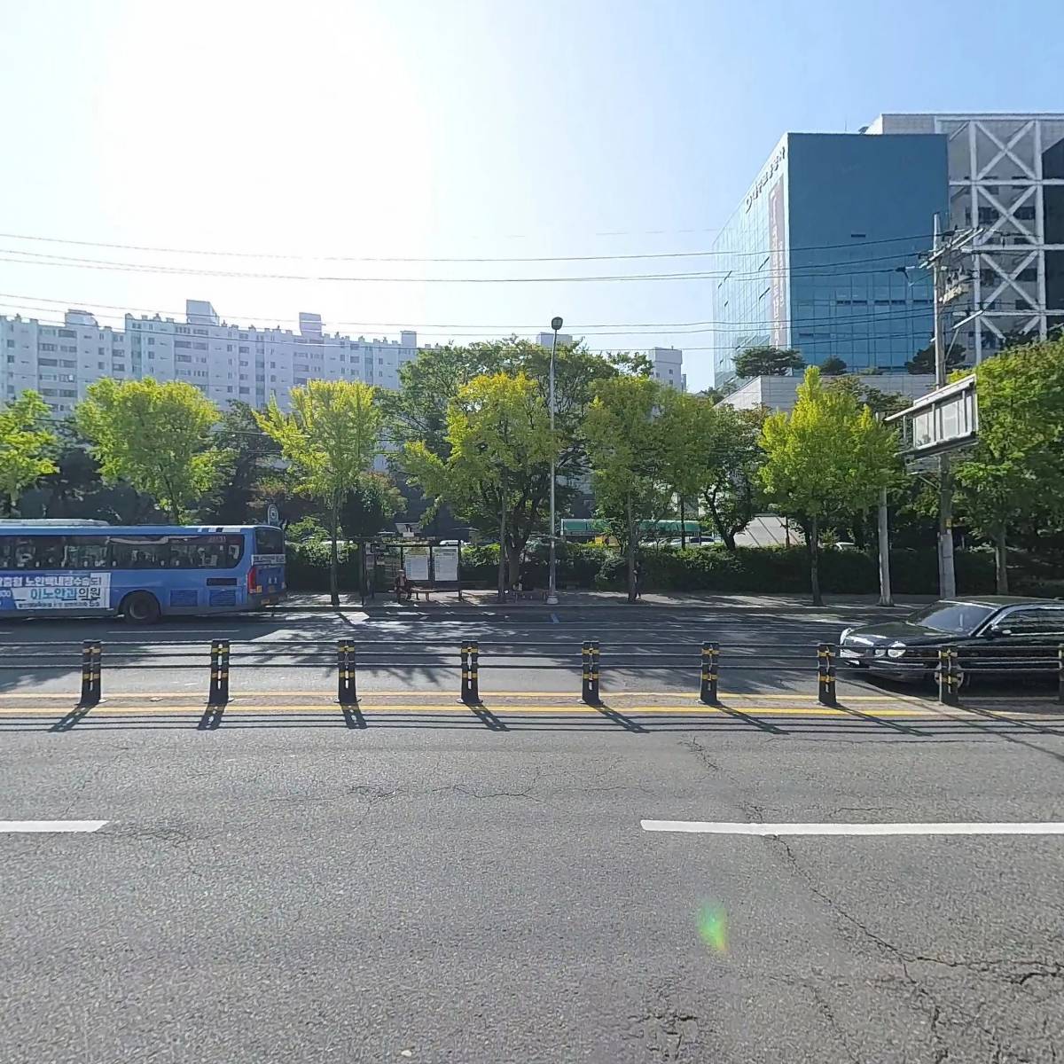 라이블리_3