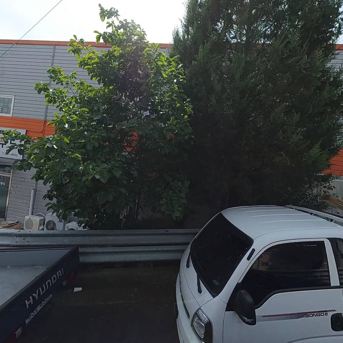 마루미트_3