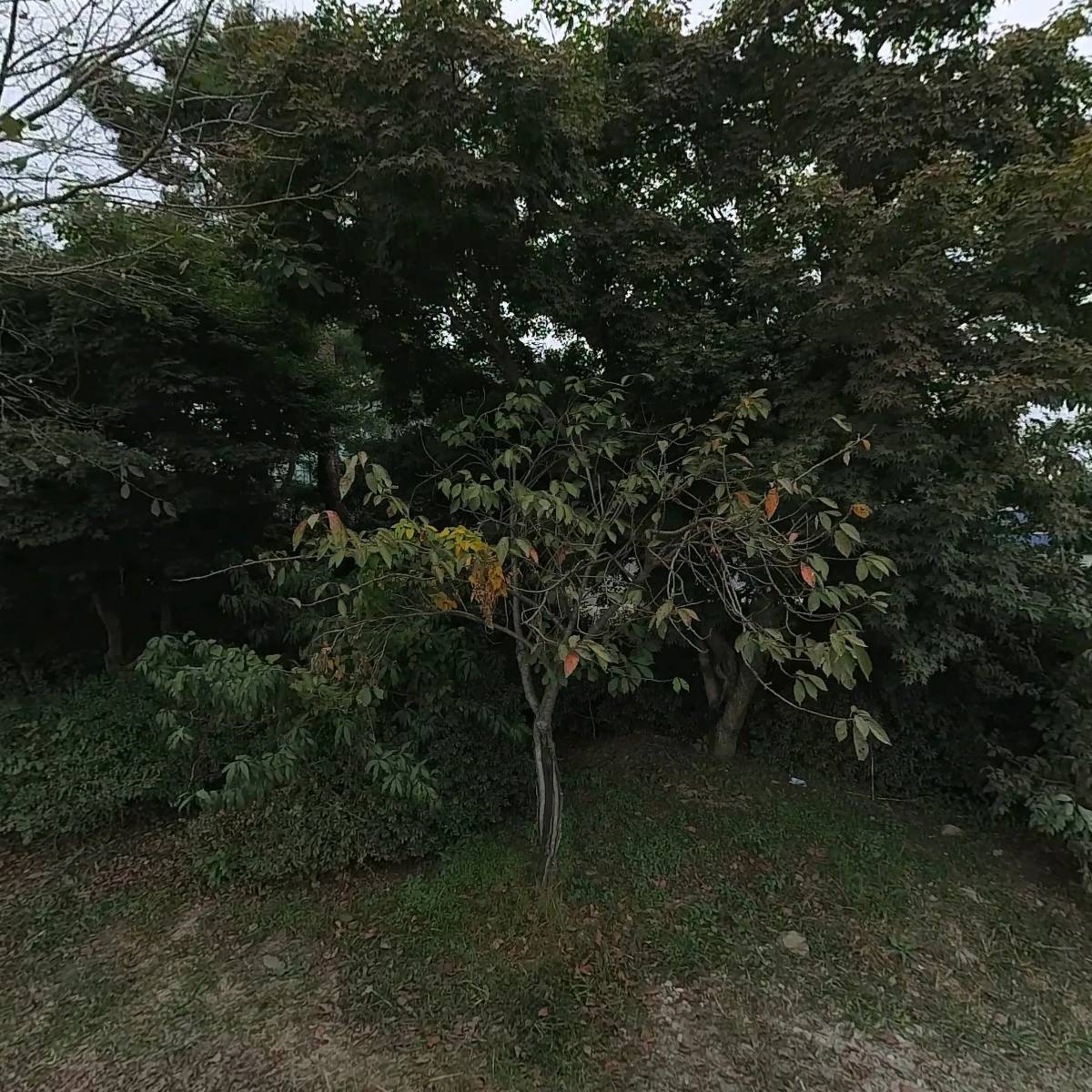 머슴설비