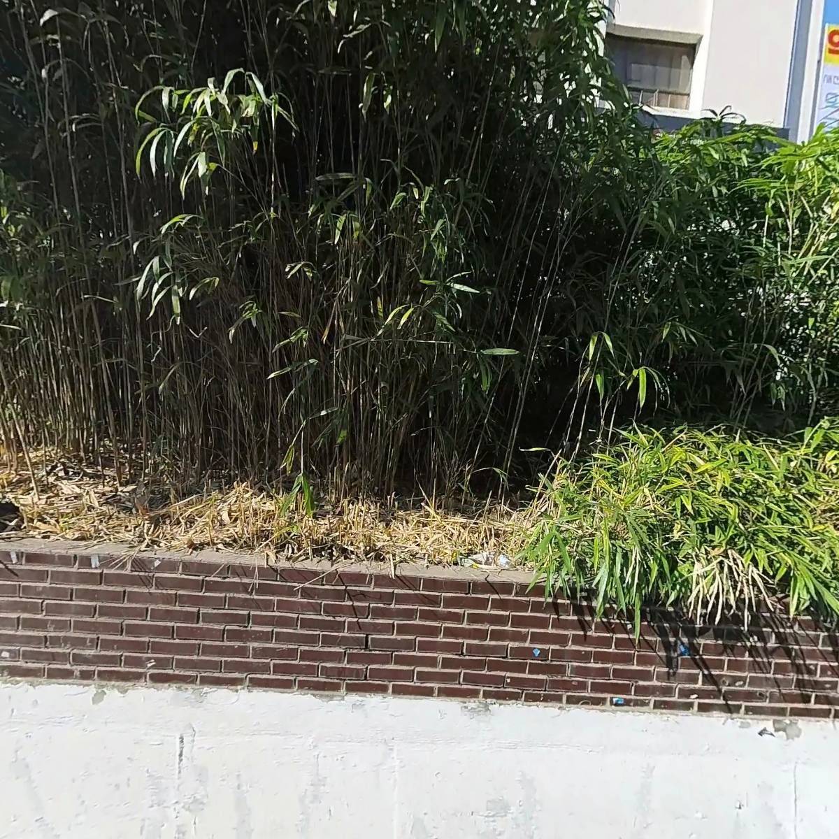 사단법인 바른교육연구회_3