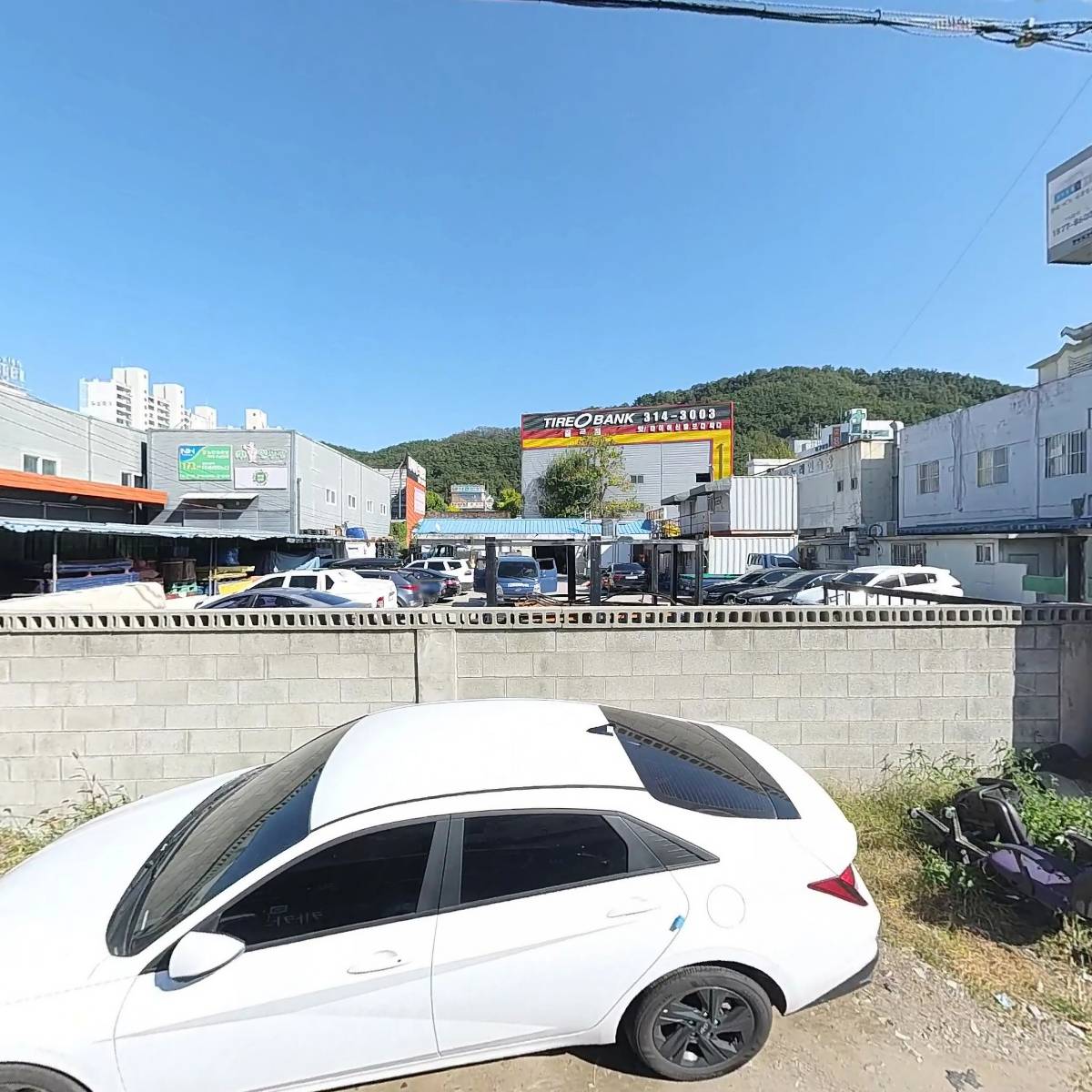 대성식품
