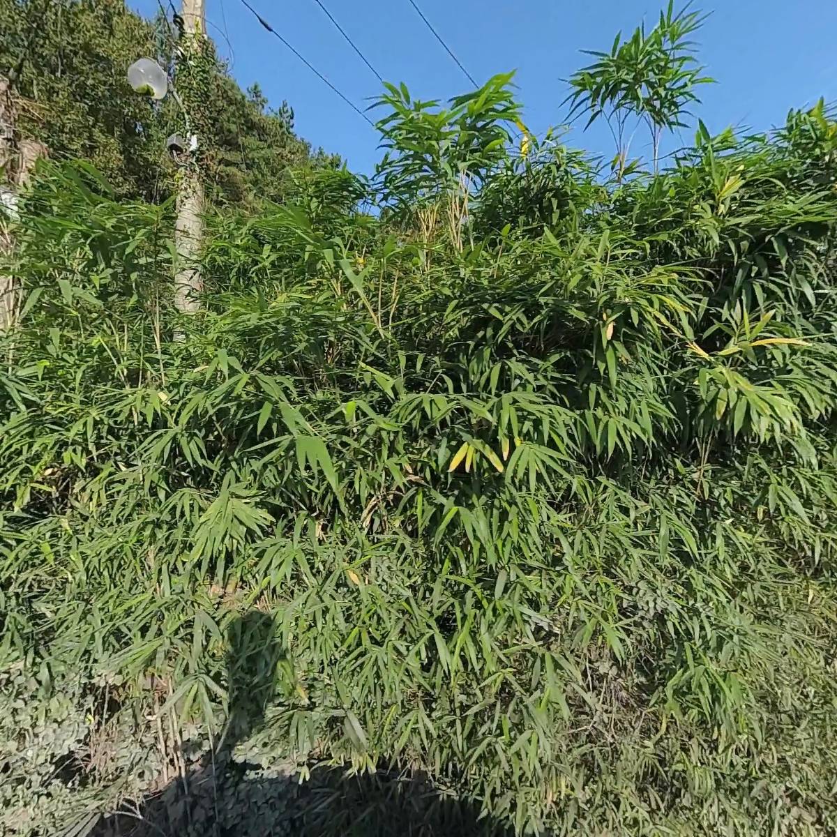 그린종합공사