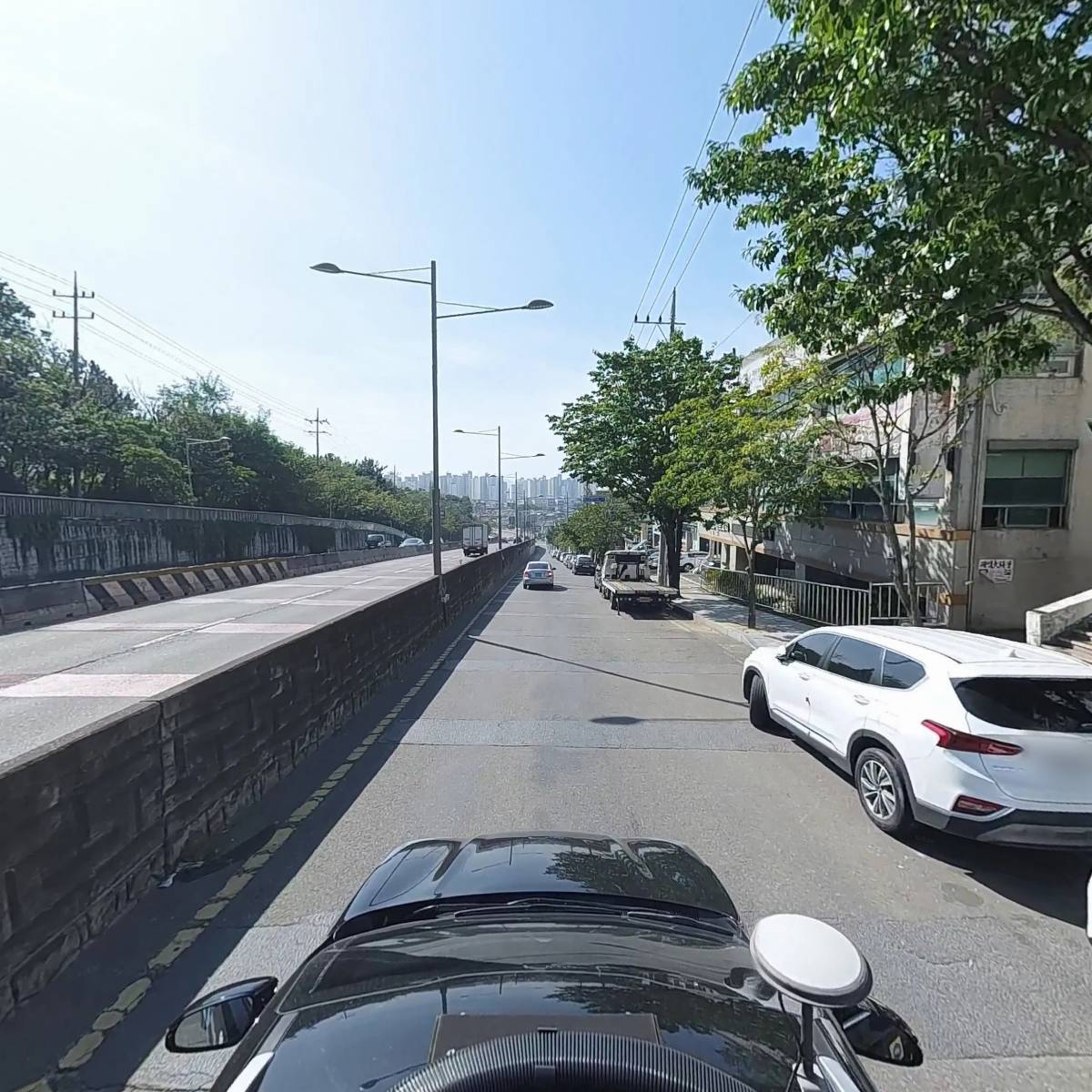 보드라미_4