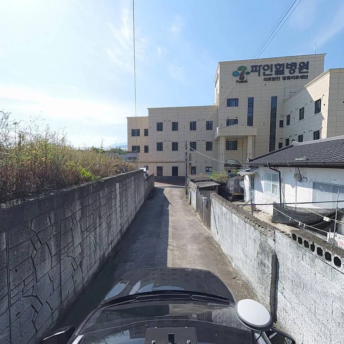 성대 가지산굼벵이_4