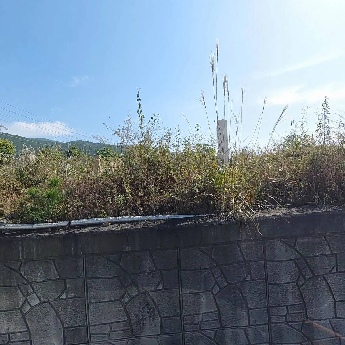 성대 가지산굼벵이_3