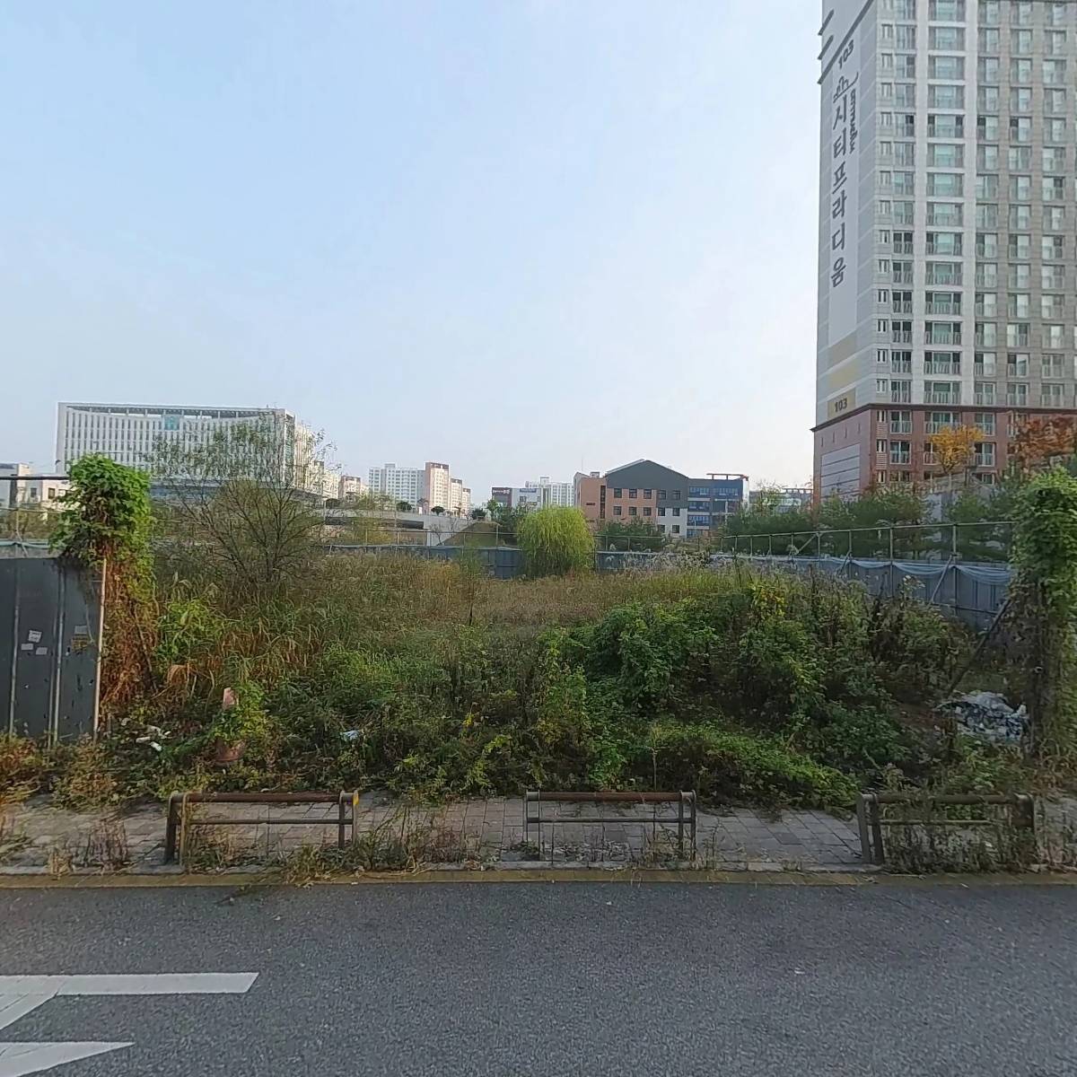 홍쌤 타로와 사주_3