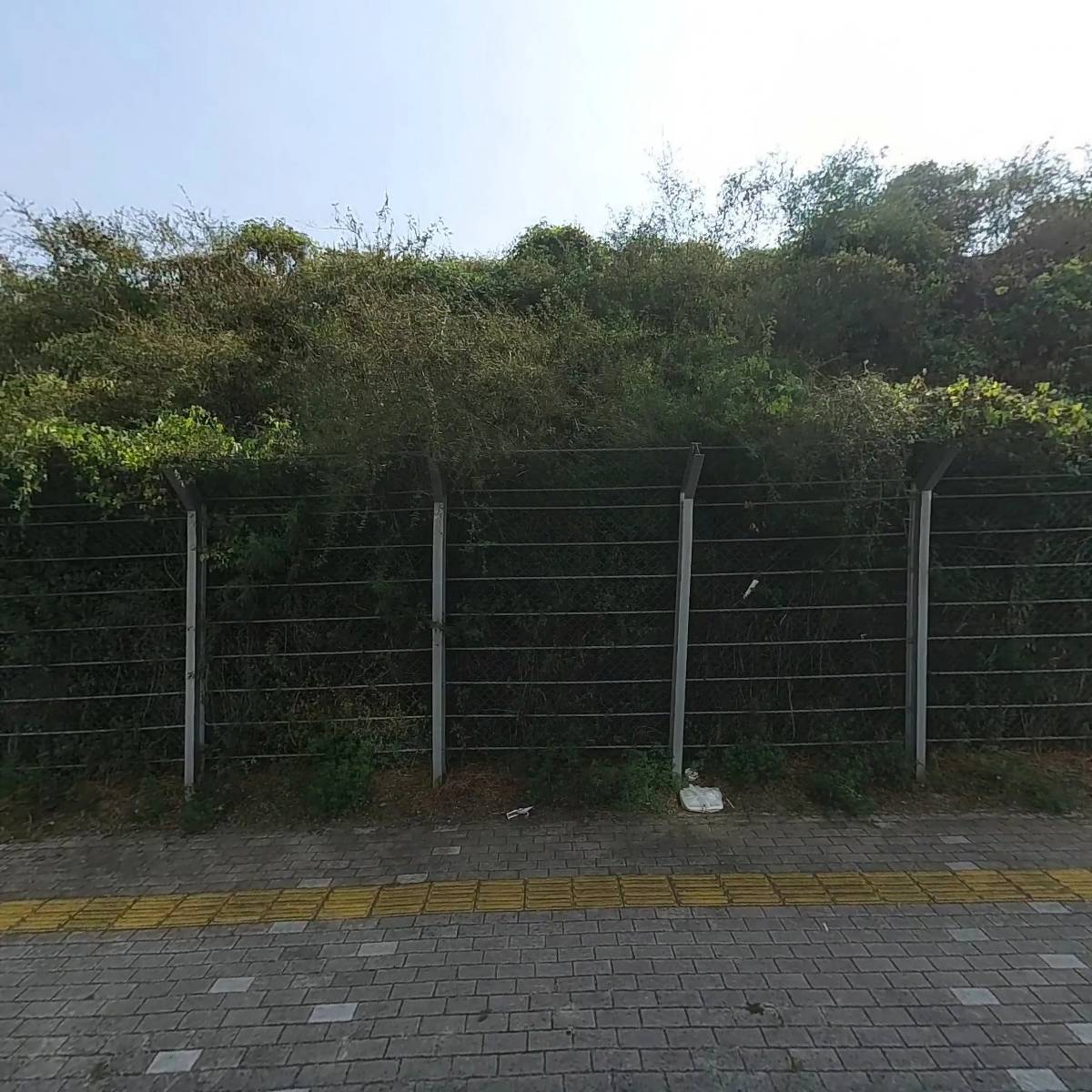 셀파우등생수학교습소