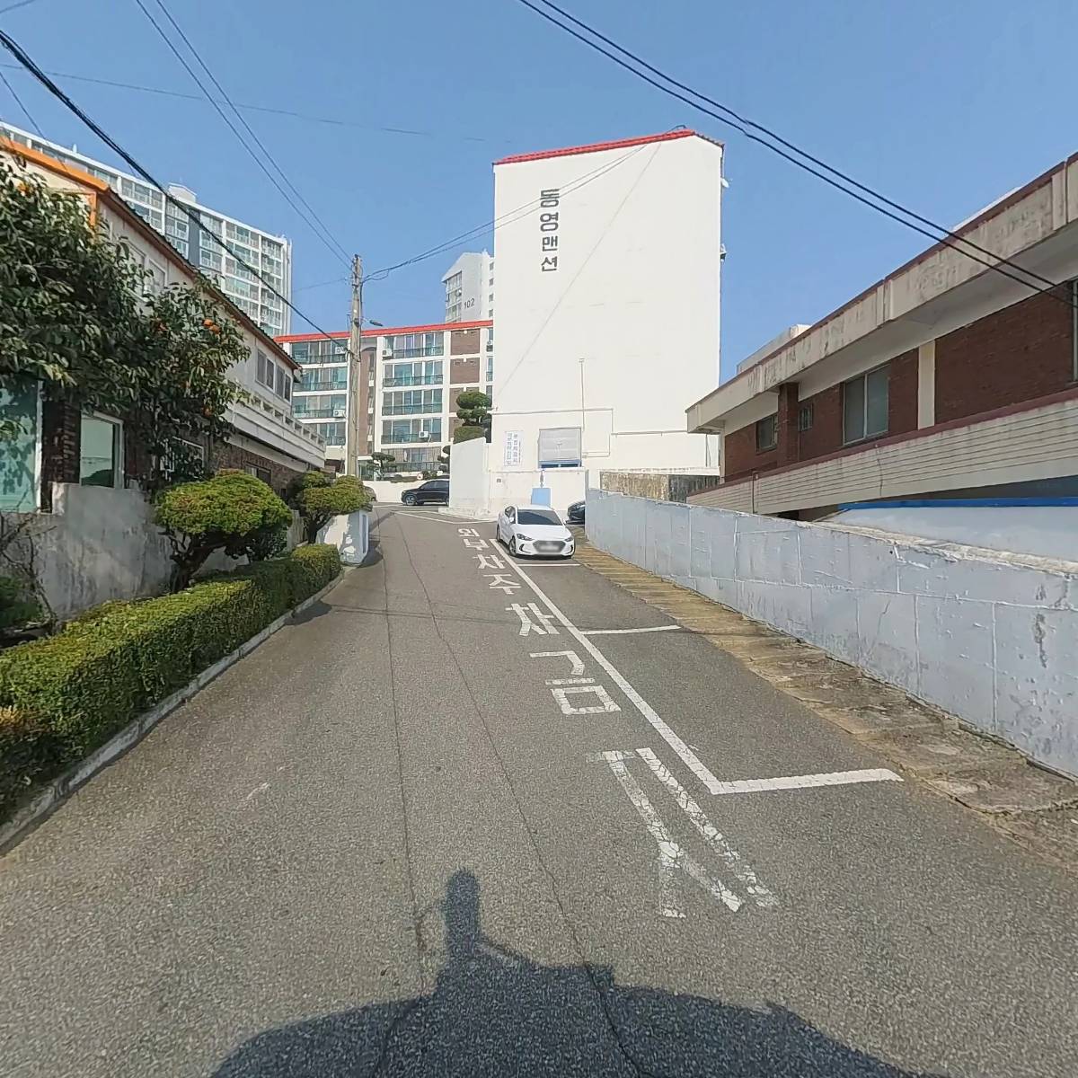 카젠_3