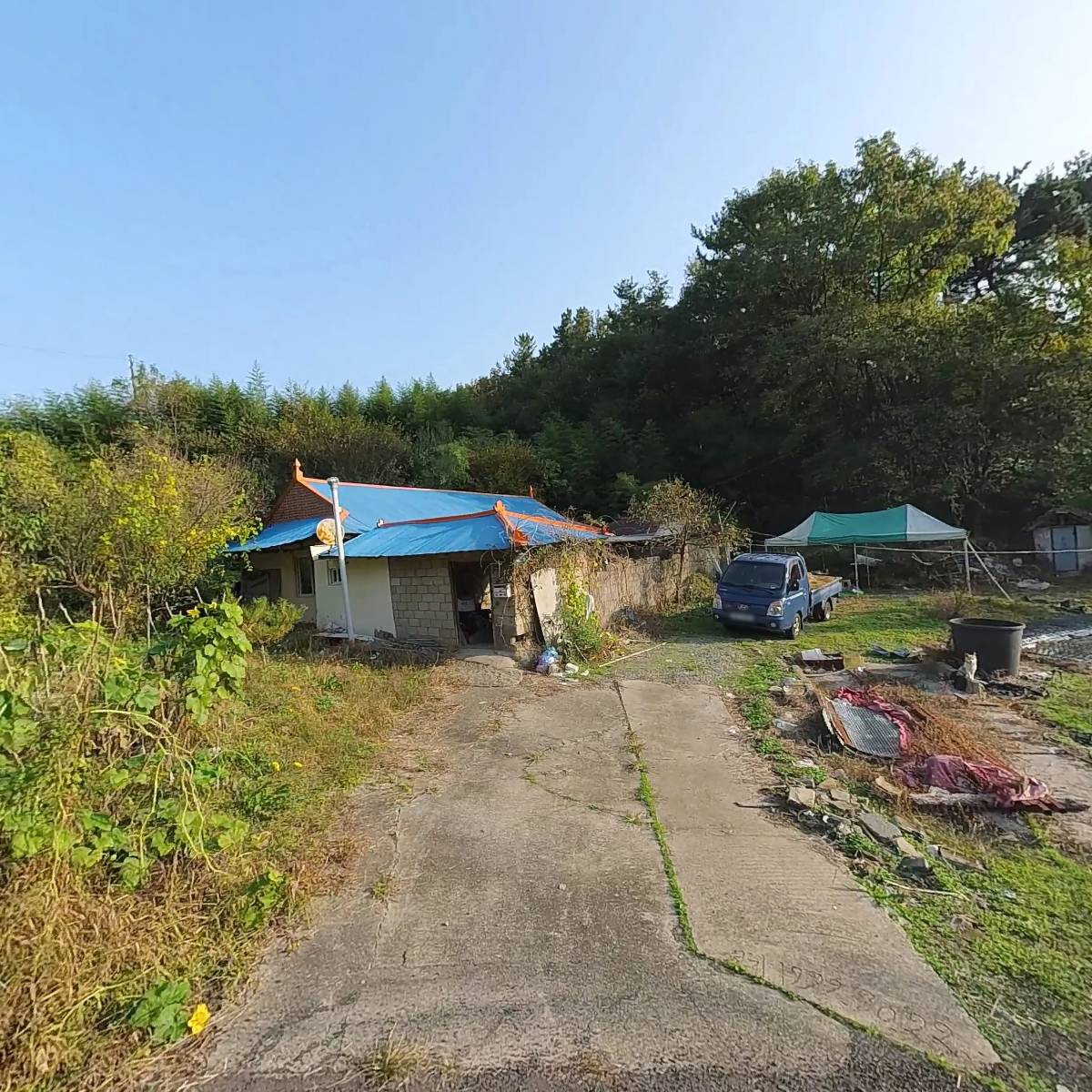 건강한 다정카페