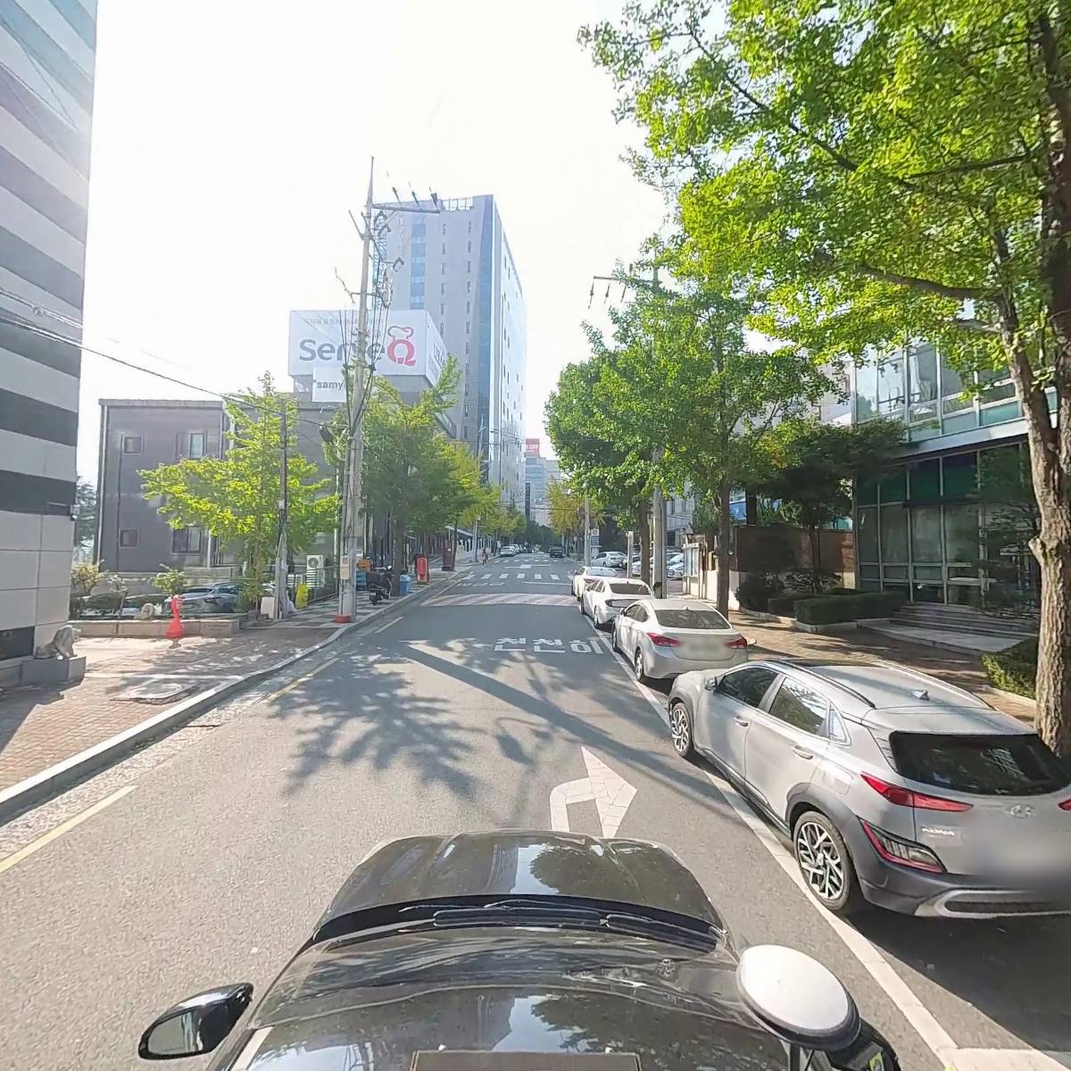 (사)국제라이온스협회 356-A(대구)지구 제1지역_4