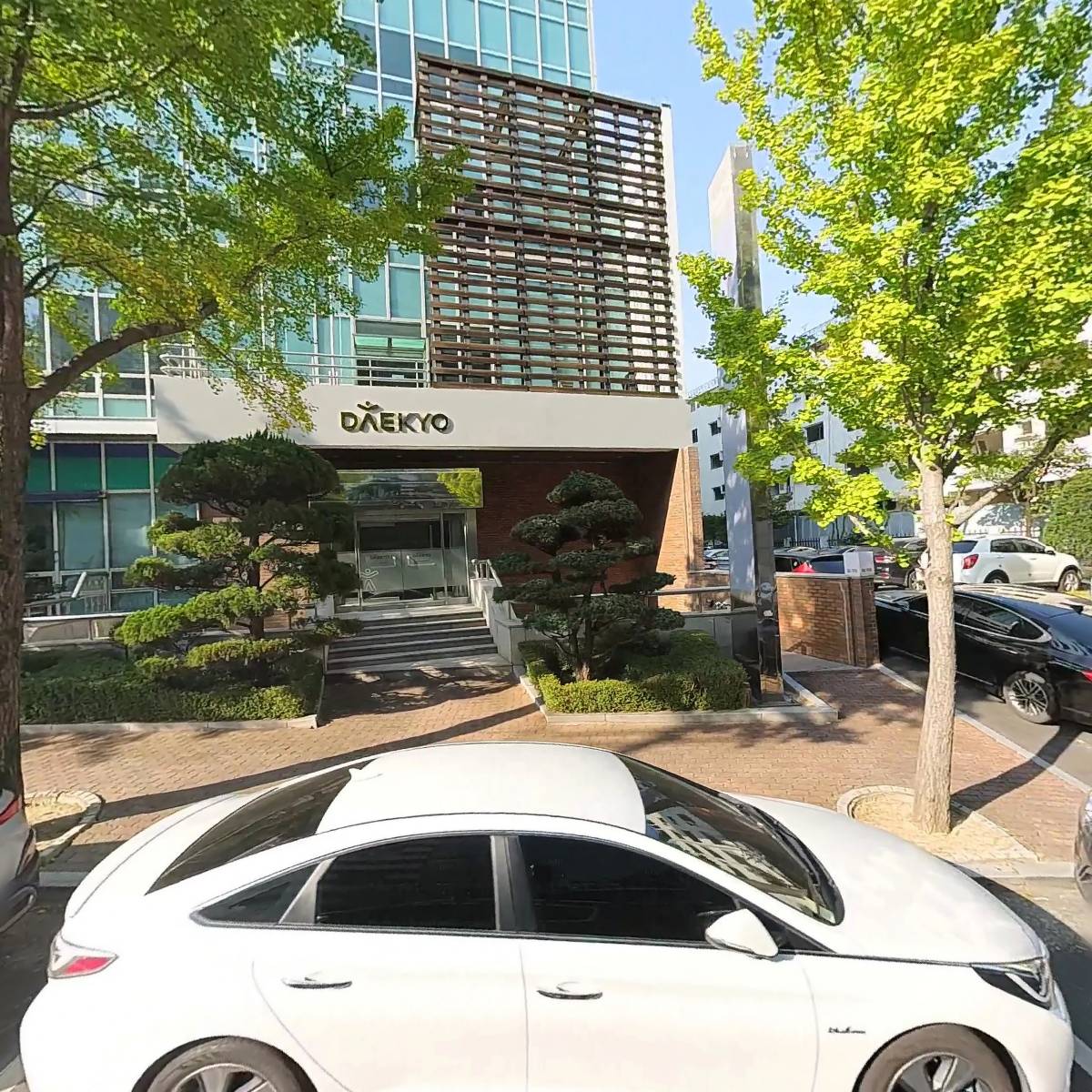 (사)국제라이온스협회 356-A(대구)지구 제1지역