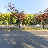 노루표페인트.잉크사_3