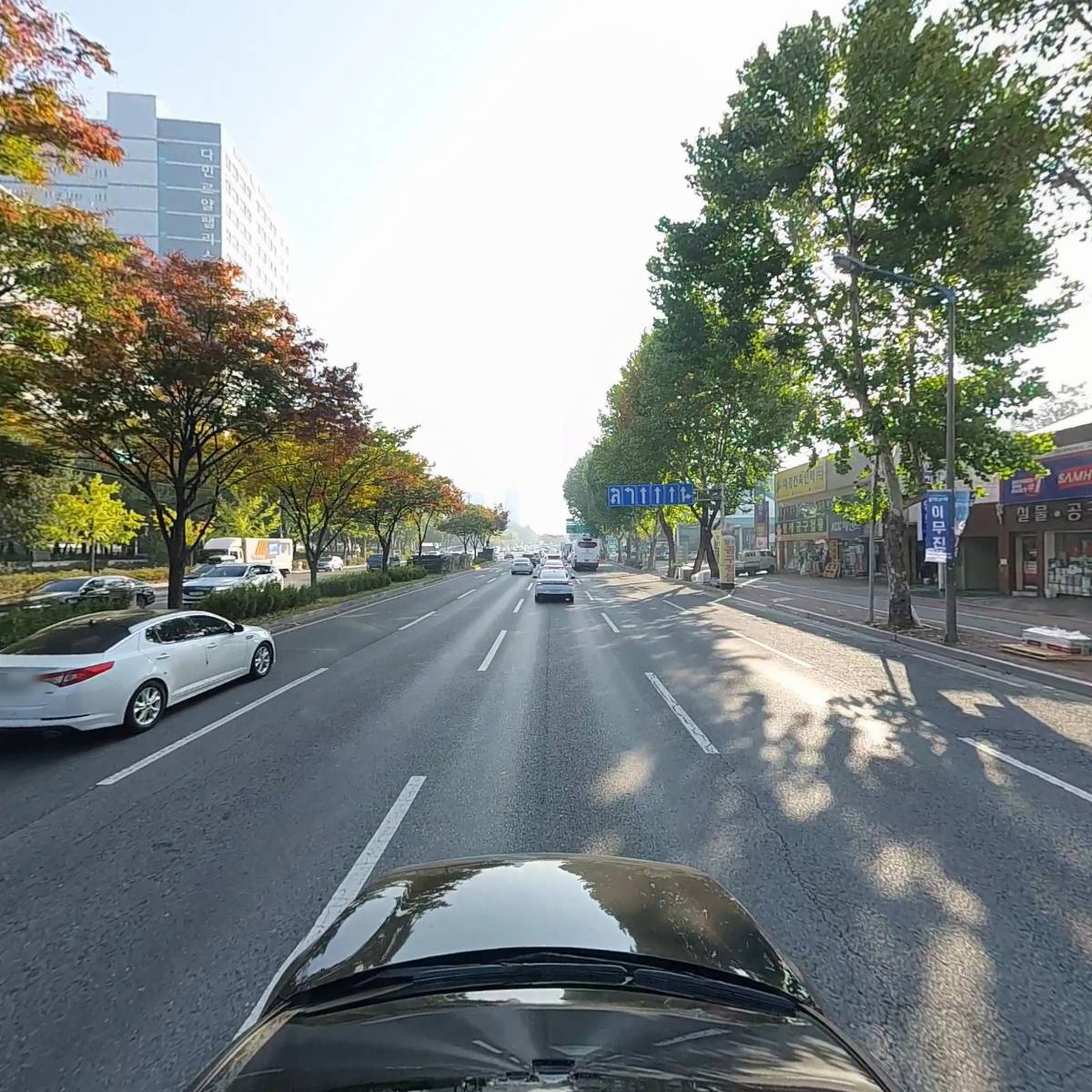 아세아정형외과_4