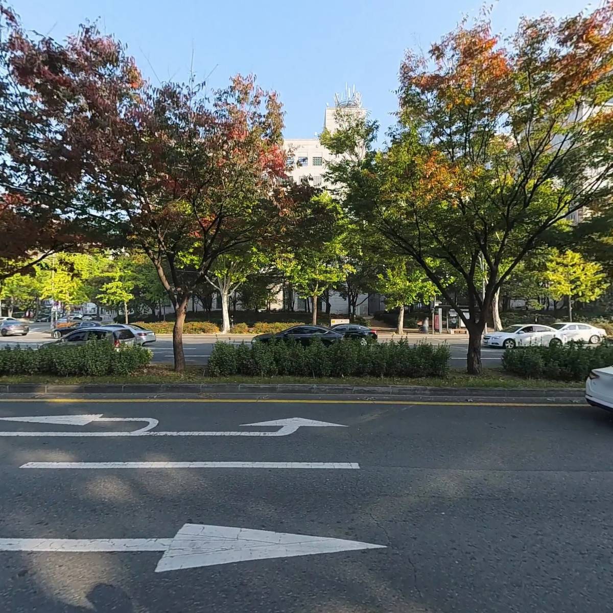 아세아정형외과_3