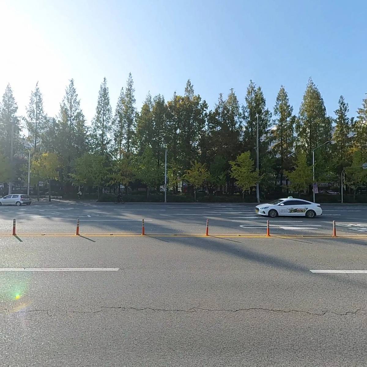 솔향기그윽한떡_3