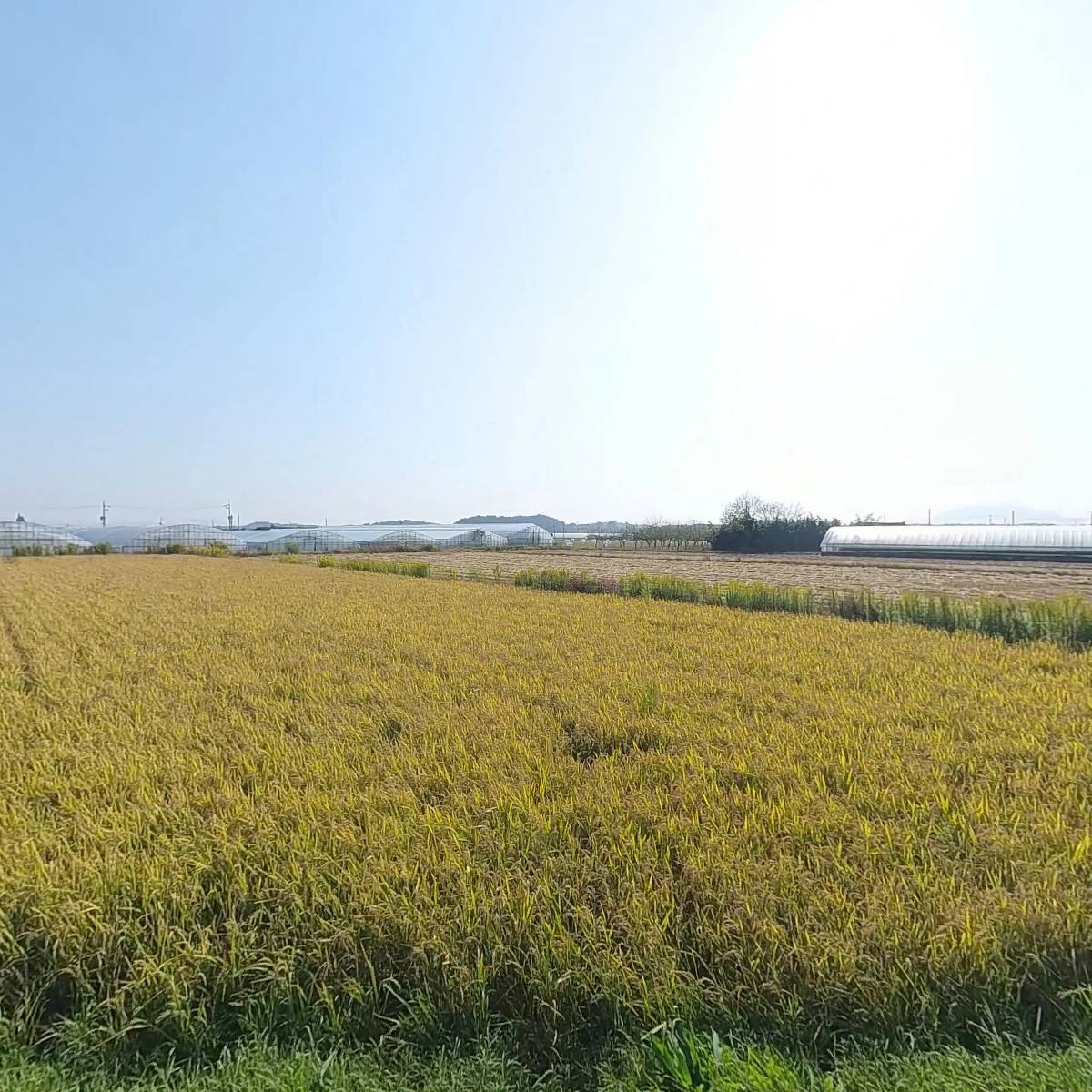 용인쇼파