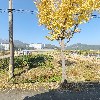 한국노총 전국건설산업노동조합 건설기계분과 울산지부