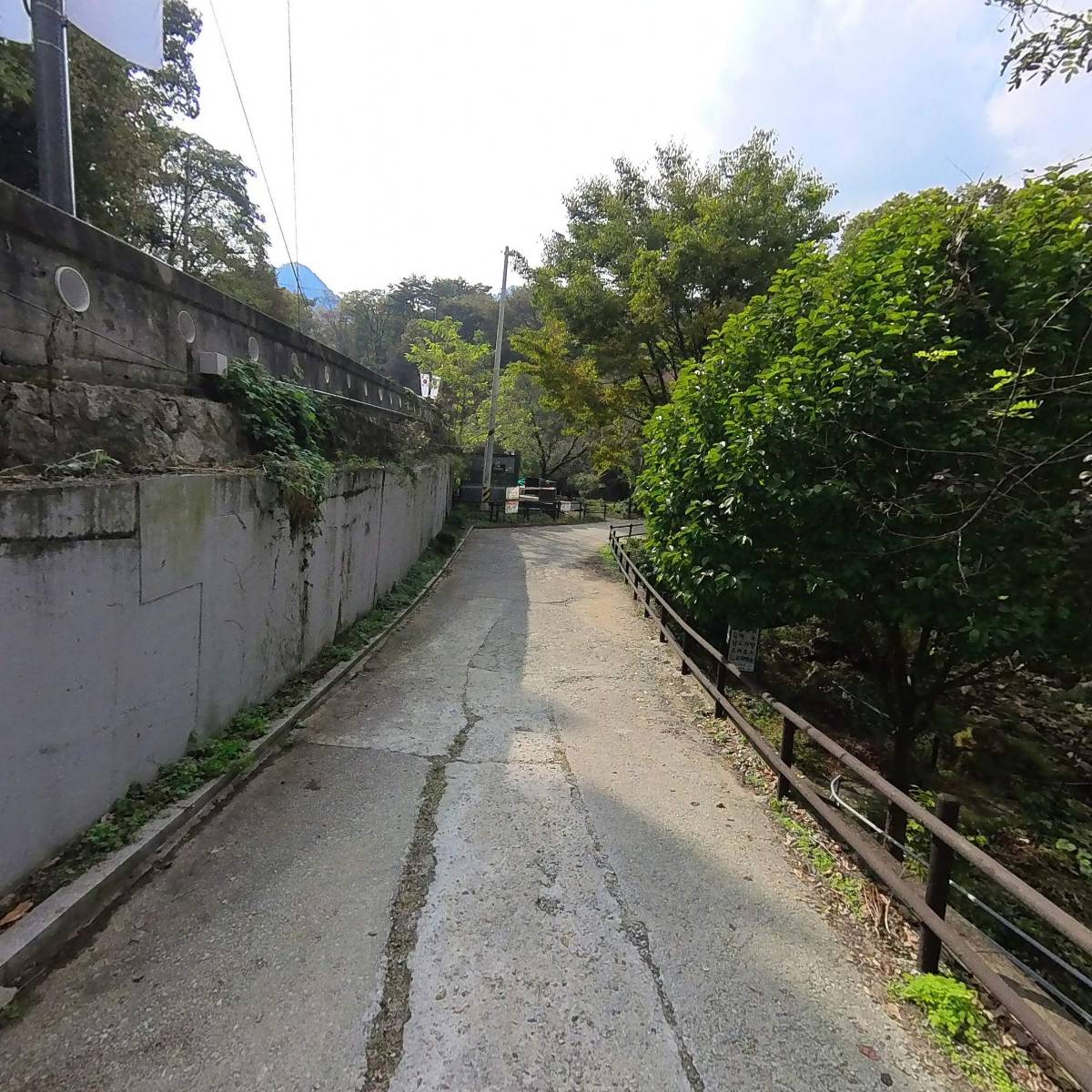 카페인_4