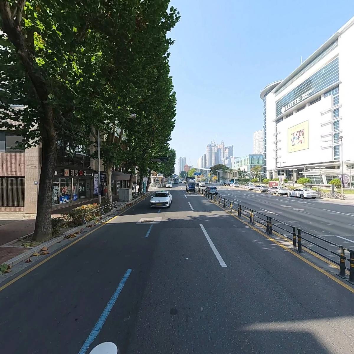 진흥녹화센터 대구지점_2