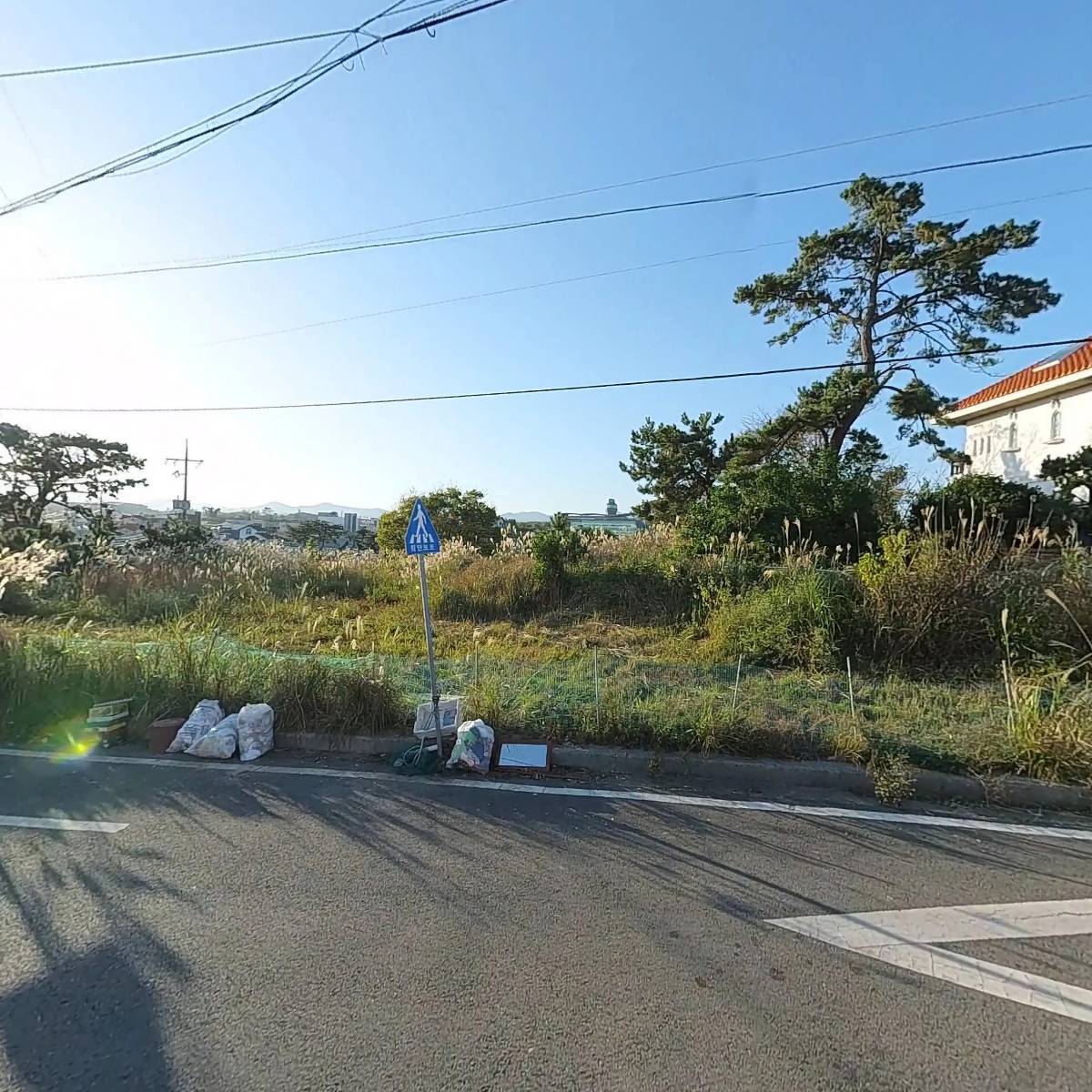 해어화_3