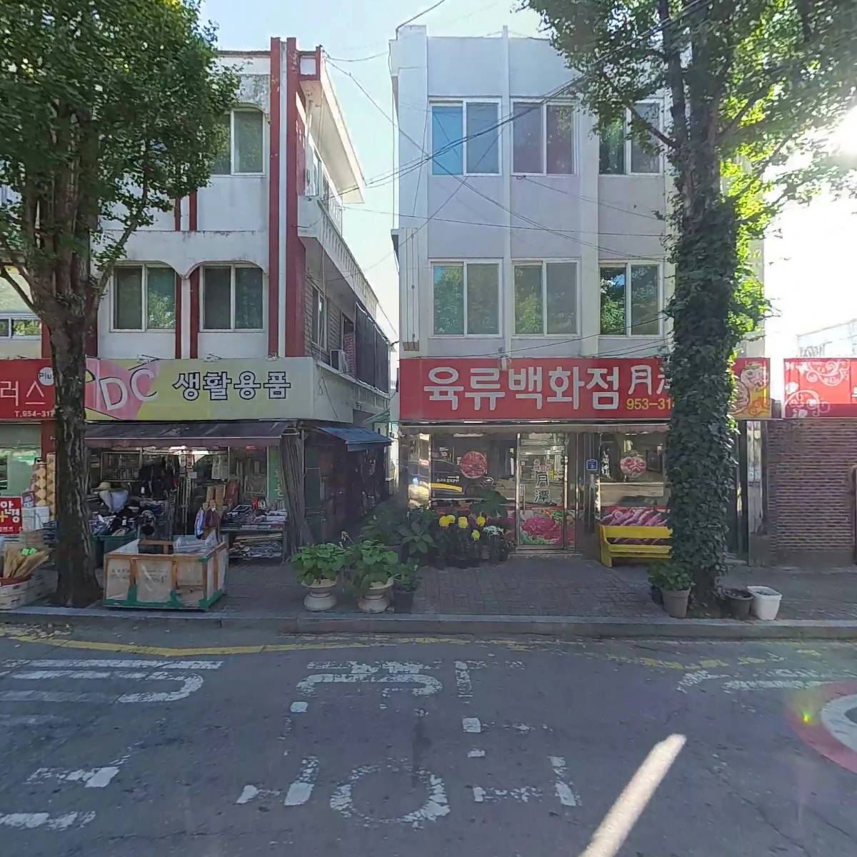 조가손만두_3