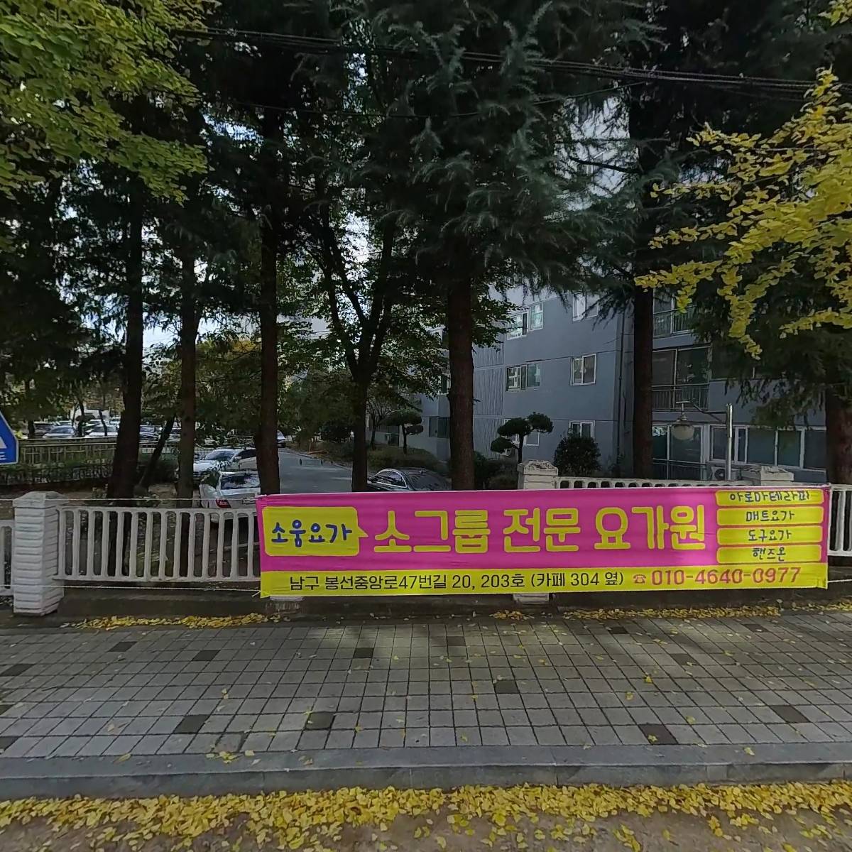 D마켓