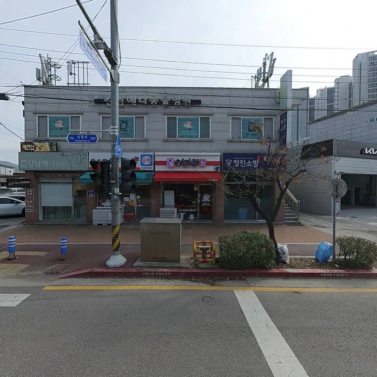 강남애니동물병원