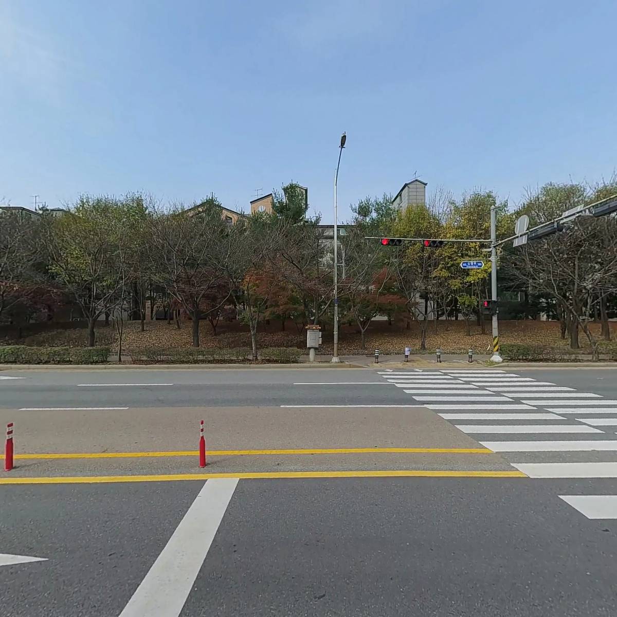 강남애니동물병원_3