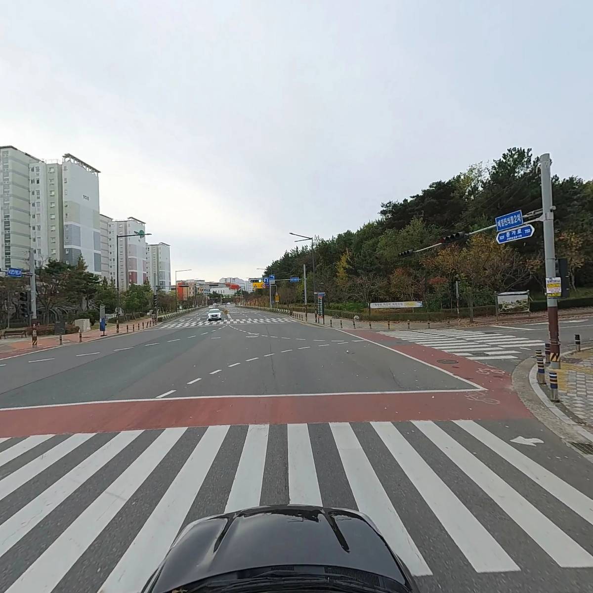 장현루시드어학원_4