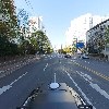 하율플라워_2