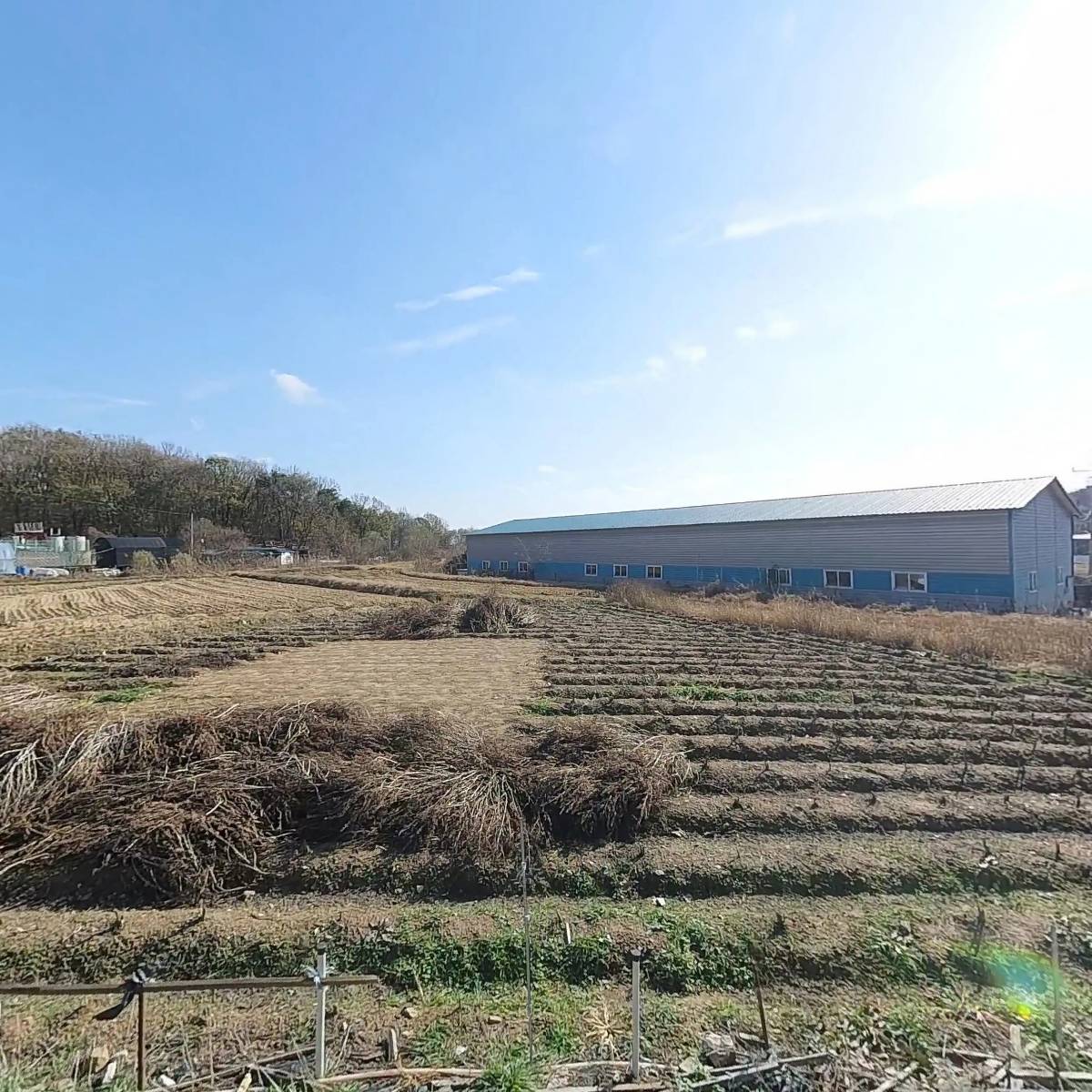 모곡식품_3