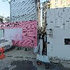 도리센세_3
