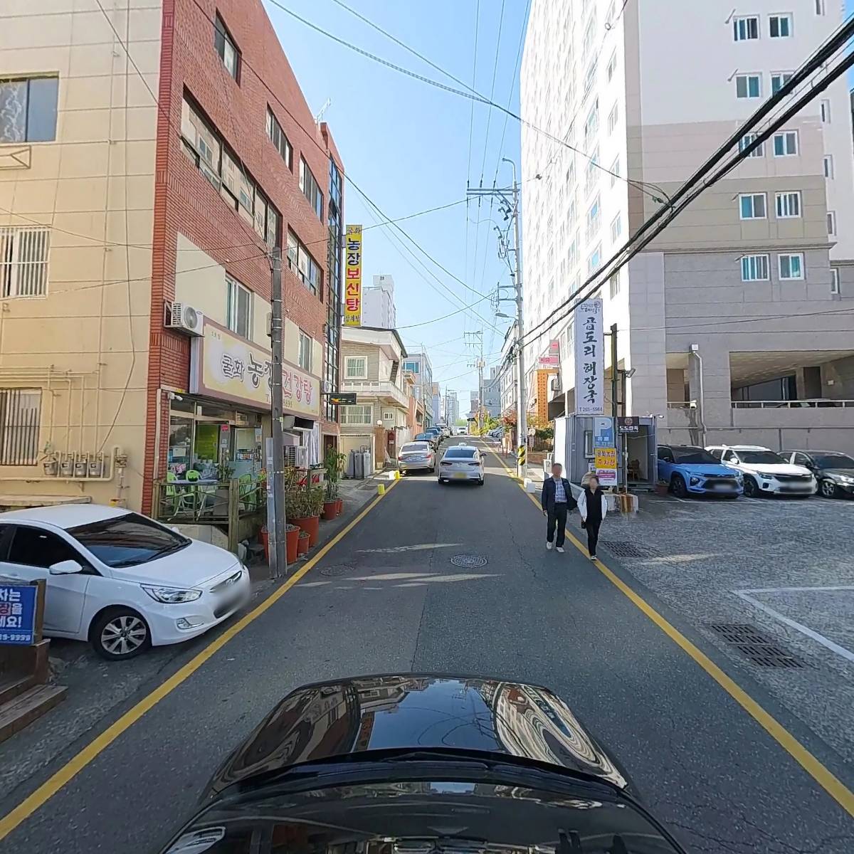 도도칼족_4