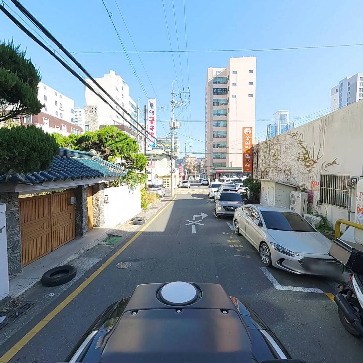 도도칼족_2