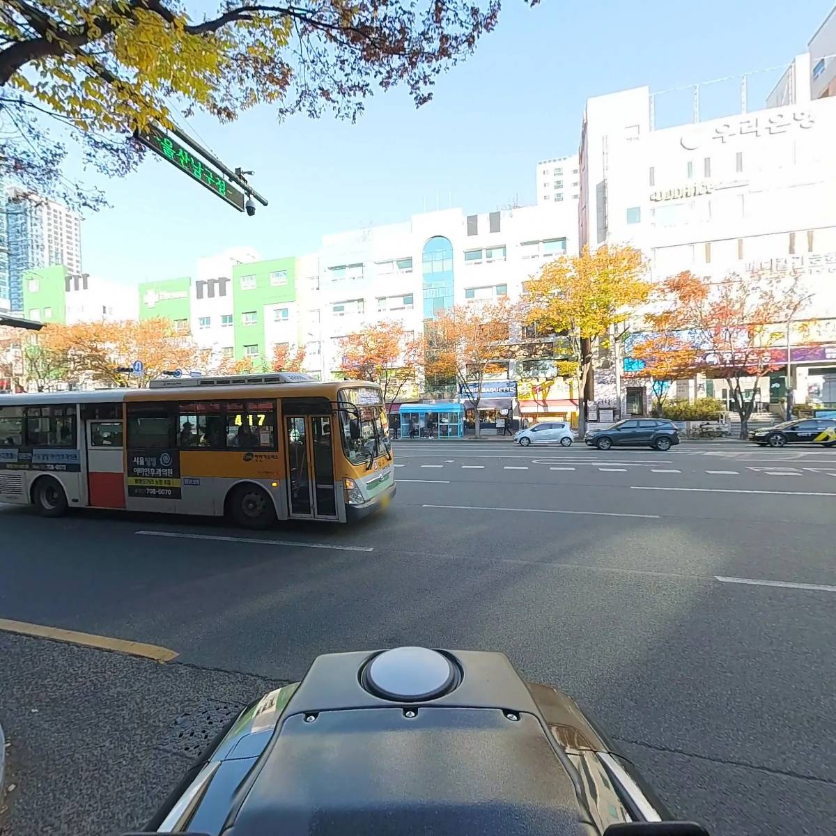처용서림_2
