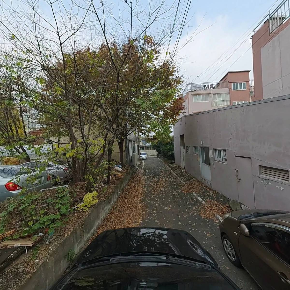 선_4