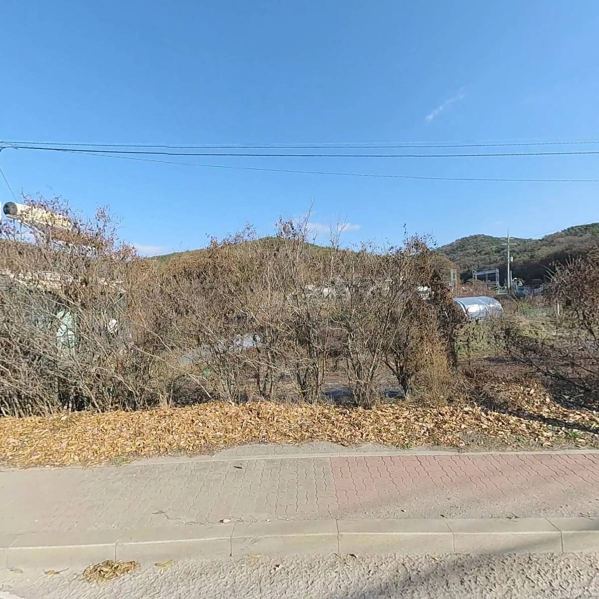세븐일레븐 김포약암로드점