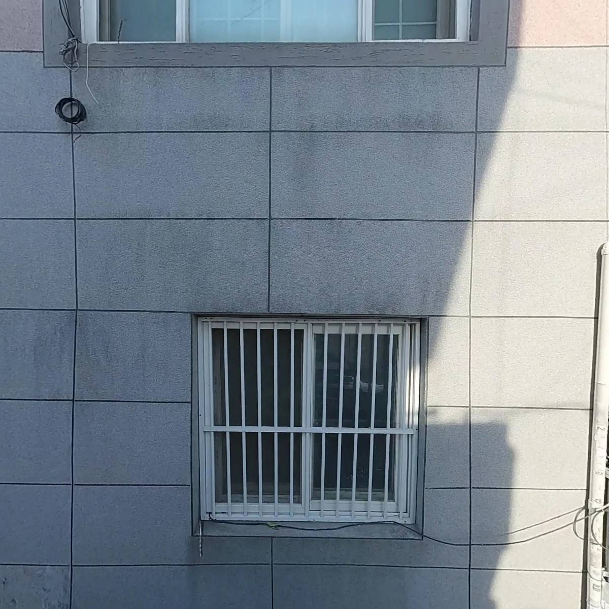 녹마