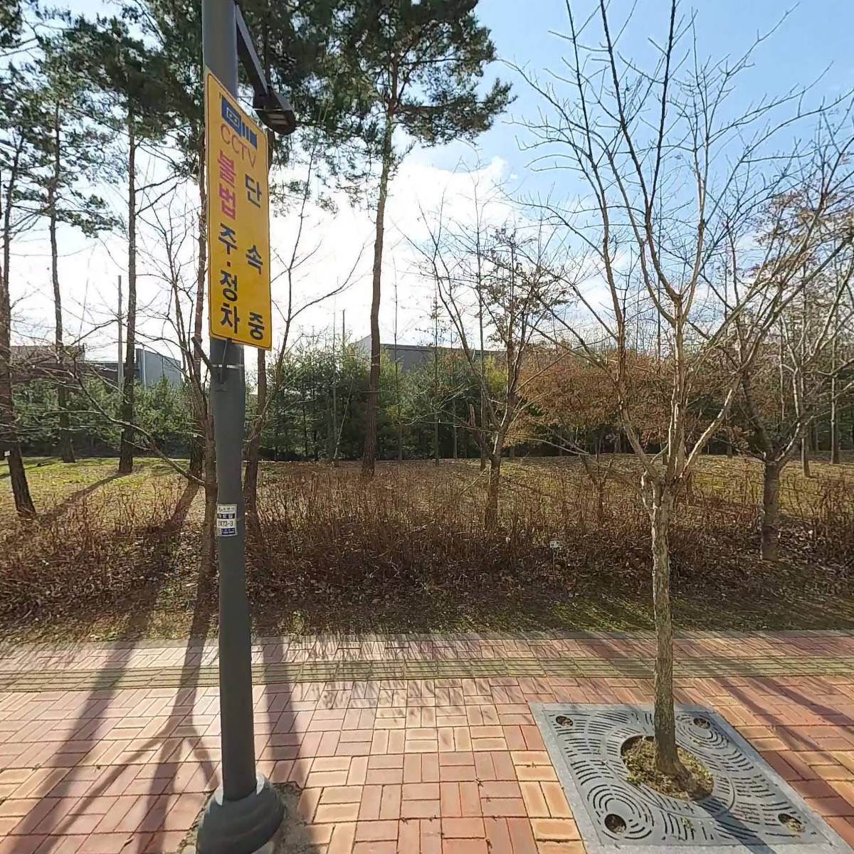 엘리시아헤어
