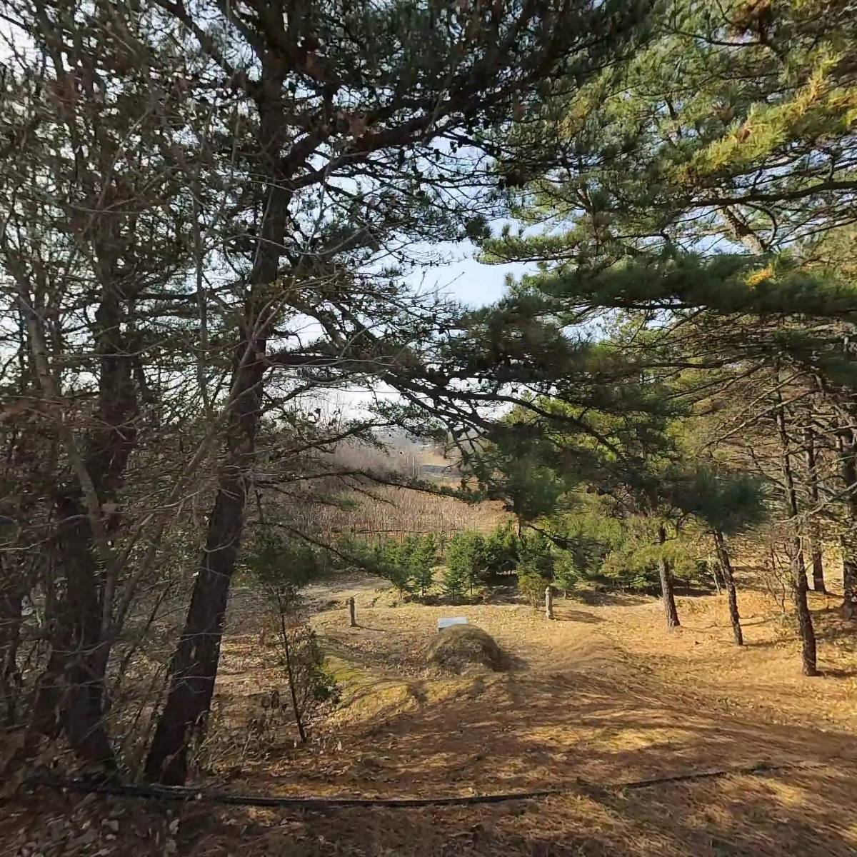홍익주간보호센터_3