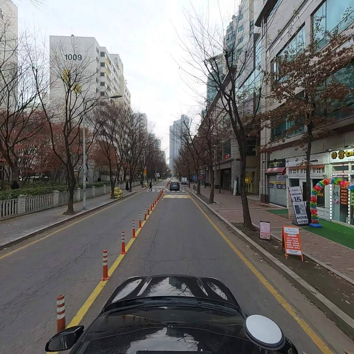 아리카_4