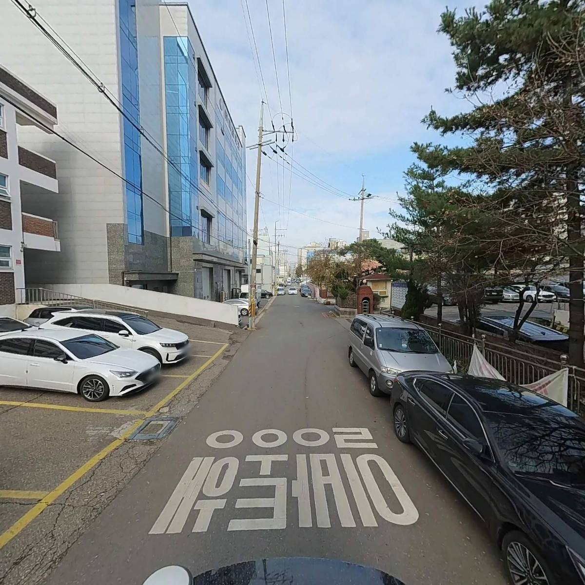 쎌파엔지니어링_2
